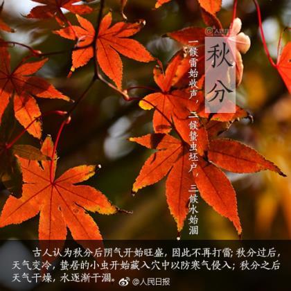 感动中国人物观后感 感动中国观后感600字