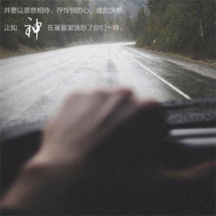 宝葫芦的秘密读后感 《宝葫芦的秘密》读后感